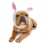 Easter Pet Costumes - Bunny Hats for Cats Dogs
