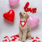 1pc Pets Scarf Festival Plaid Bow Tie Pet Collar Dog Cat Perfect for Valentine's Day Easter Independence Day Thanksgiving Day Christmas Wedding Decorations Pets Costume