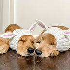 Easter Pet Costumes - Bunny Hats for Cats Dogs