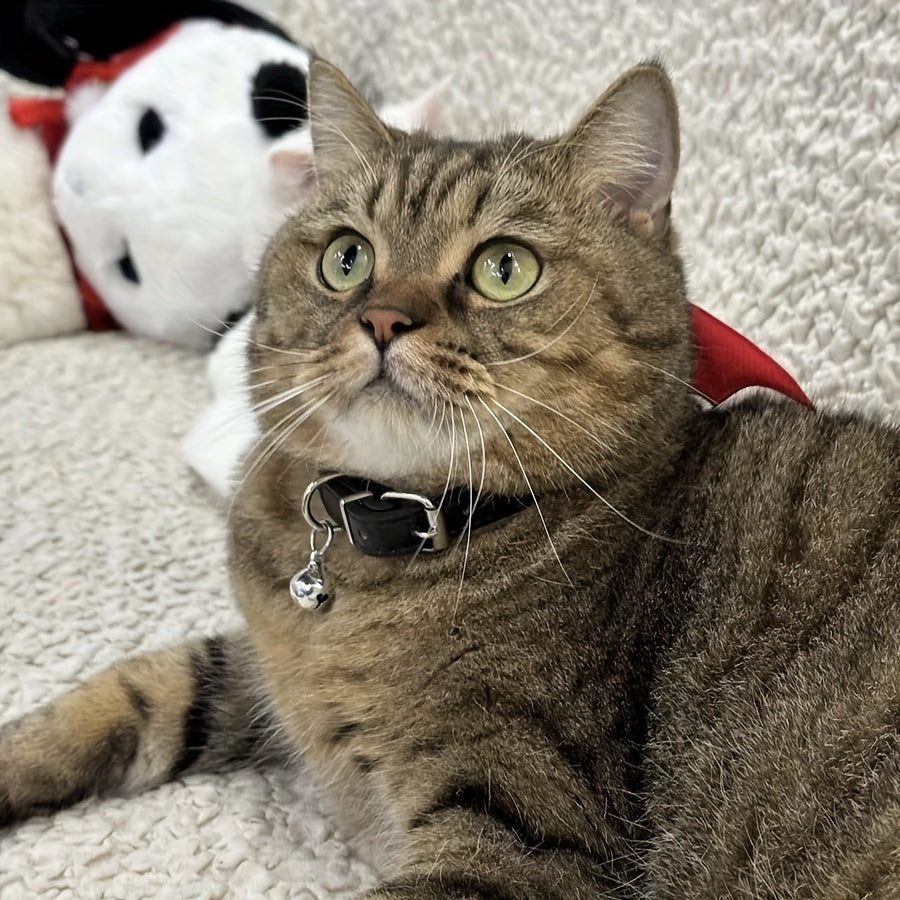 Halloween Pet Collar - Handcrafted Leather with Bell