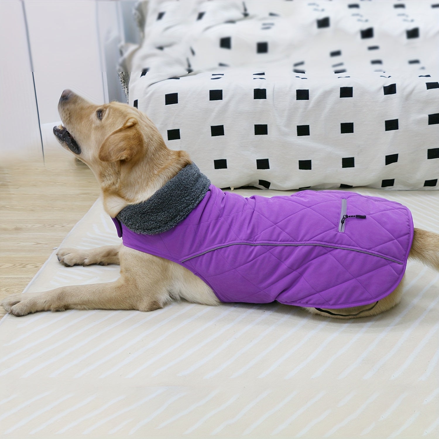 Dog Winter Jacket - Dog Coat Winter Dog Clothes