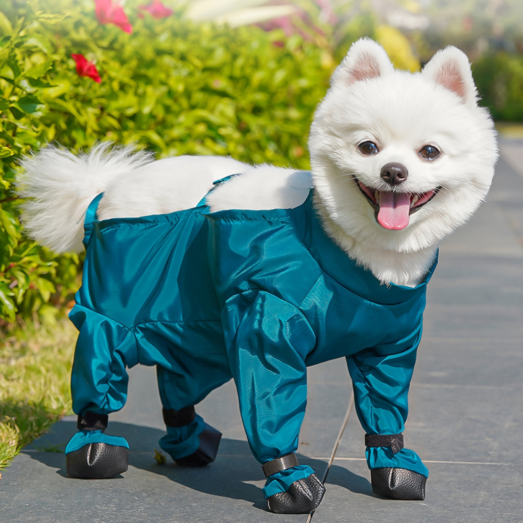White dog wearing a blue outfit with black shoes on a path with greenery.