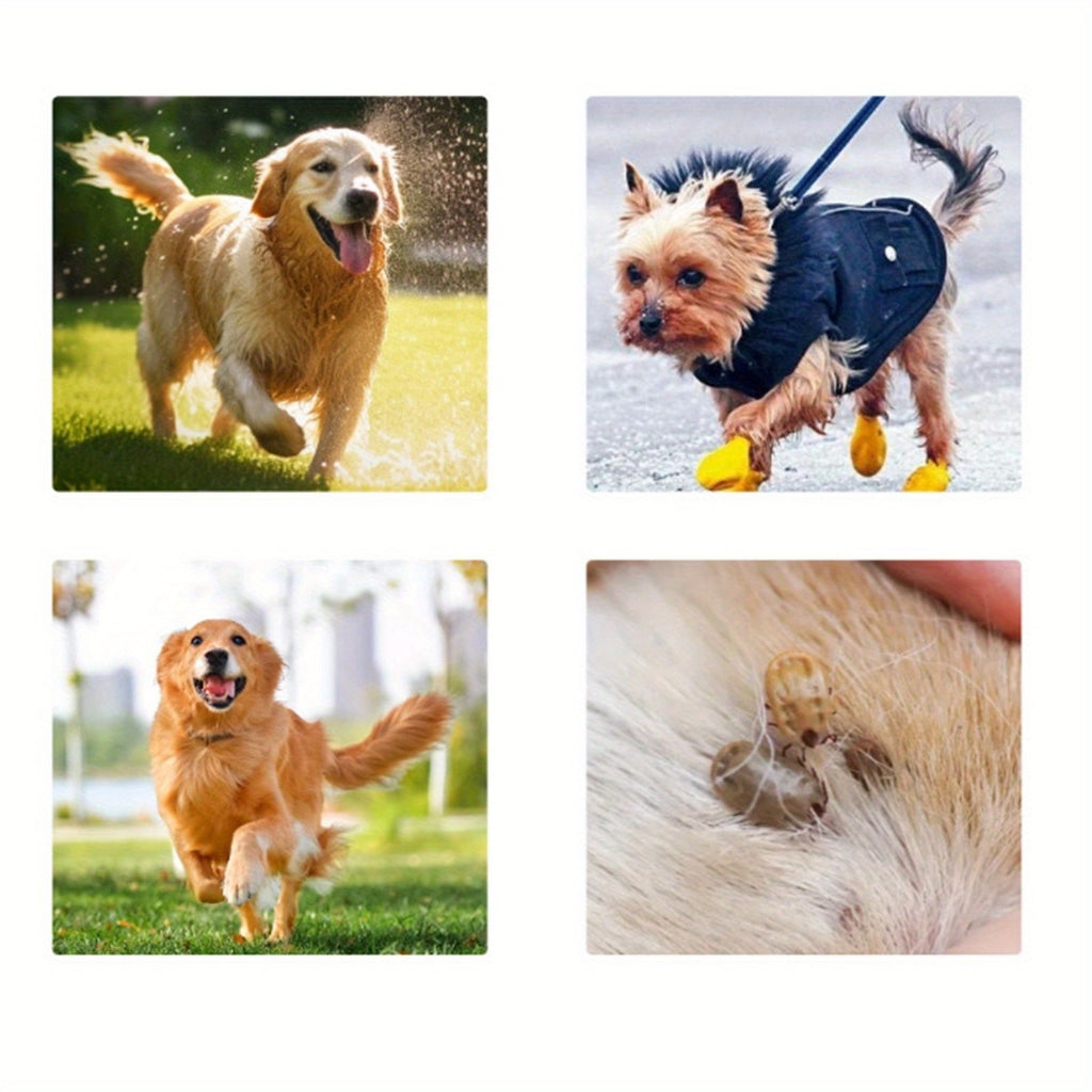 Dog Pants - Slippable Proof for Potty Training