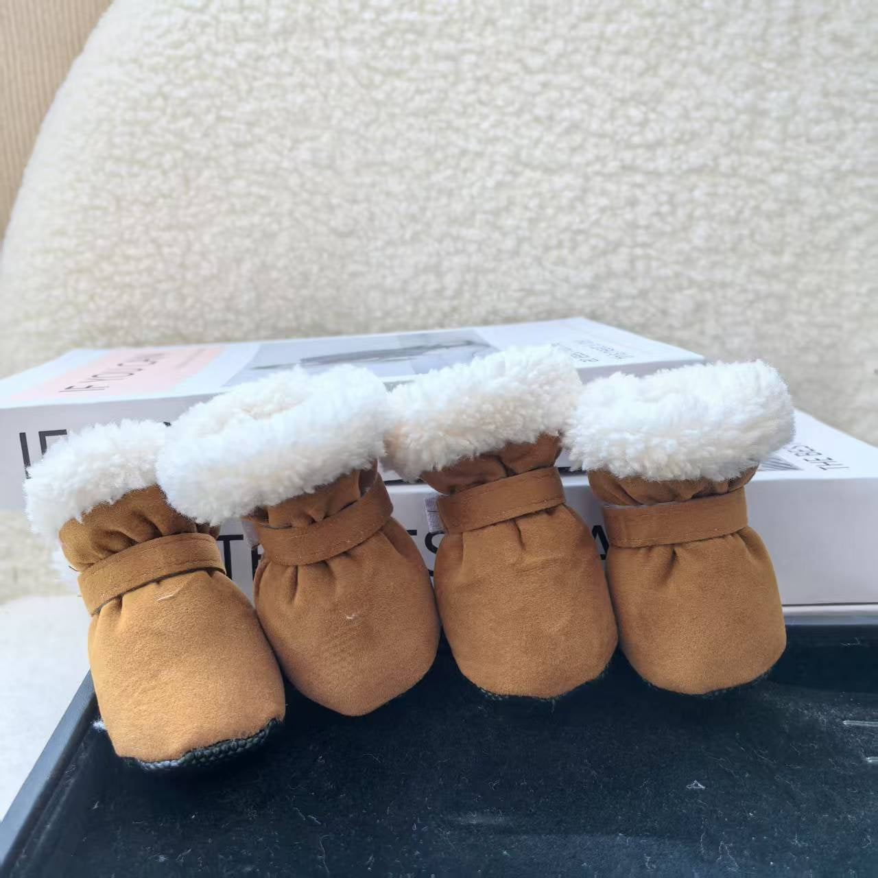 Dog Winterlo Raphael-built Raphael Raphael-built Raphael Raphael-bu...