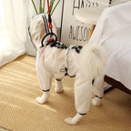 Dog Raincoat - Waterproof Dog Jacket Dog Rain Jacket