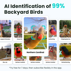 Birdfy Feeder - AI-Powered Smart Bird Feeder with Camera