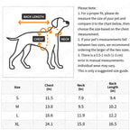 Dog size chart with measurements for chest, neck, and back length.