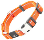 Pet Life ® 'Advent' Outdoor Series 3M Reflective 2-in-1 Durable Martingale Training Dog Leash and Collar