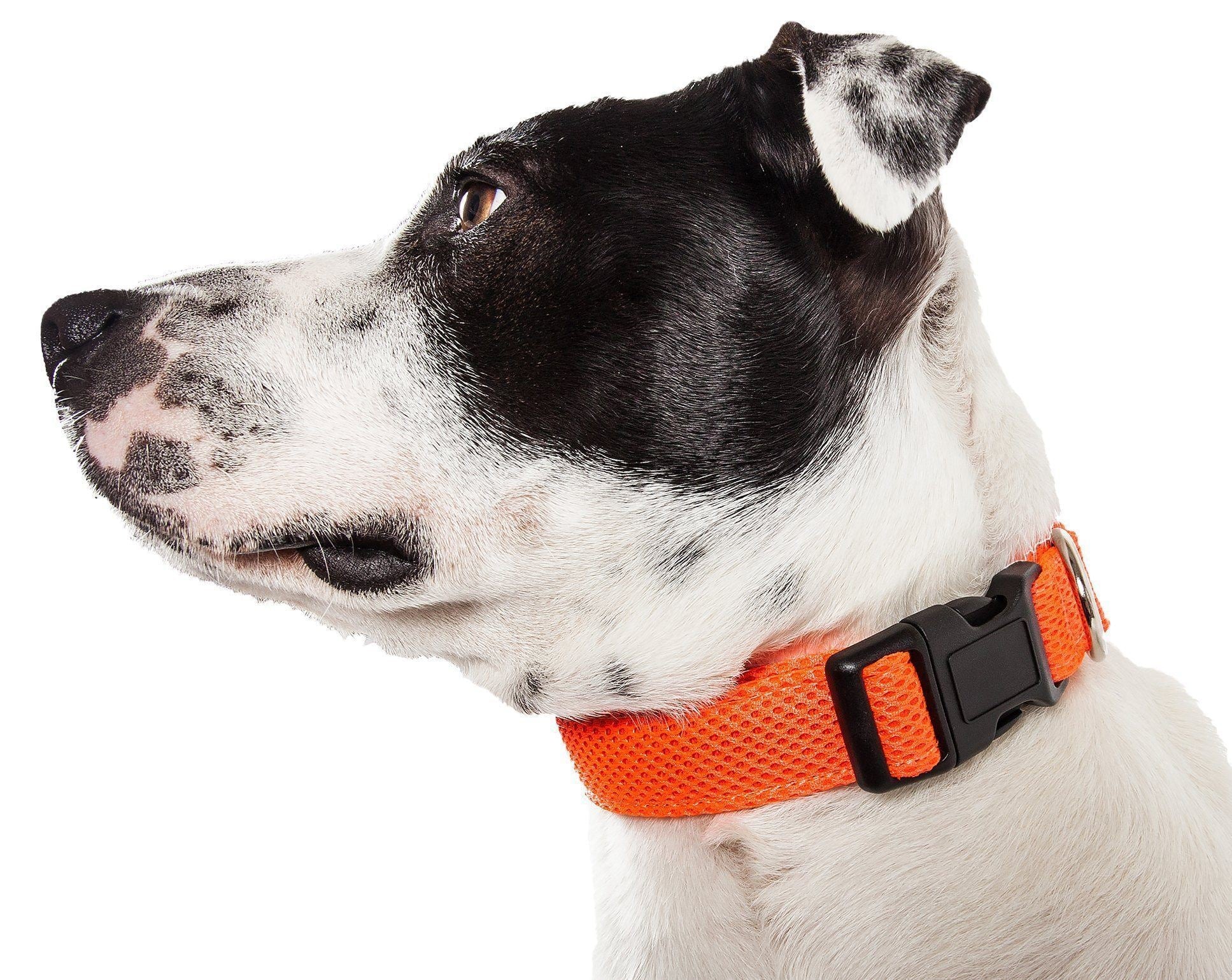 Pet Life ®  'Aero Mesh' Dual-Sided Breathable and Adjustable Thick Mesh Dog Collar