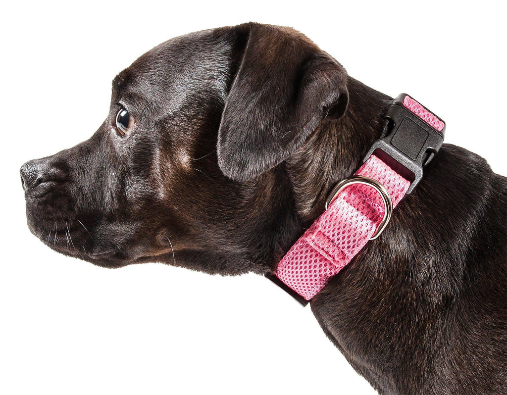Pet Life ®  'Aero Mesh' Dual-Sided Breathable and Adjustable Thick Mesh Dog Collar