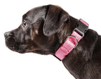 Pet Life ®  'Aero Mesh' Dual-Sided Breathable and Adjustable Thick Mesh Dog Collar