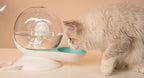 Pet Life ® 'Auto-Myst' Snail Shaped 2-in-1 Automated Gravity Pet Filtered Water Dispenser and Food Bowl