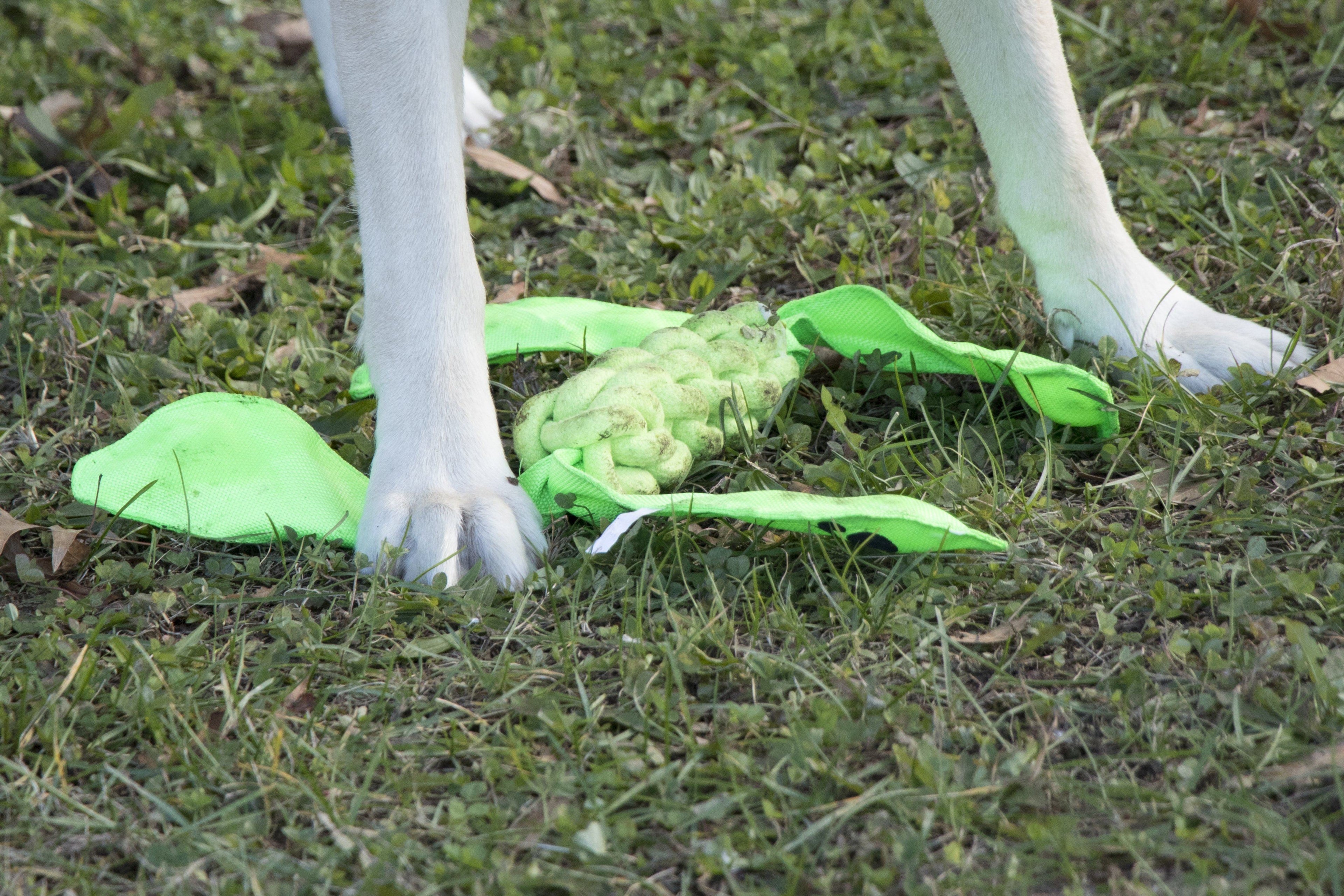 Pet Life ® 'Extreme Twist' Sporty Tugging Jute and Squeak Dog Toy