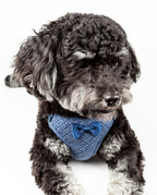 Pet Life ®  'Flam-Bowyant' Mesh Reversed and Adjustable Dog Harness