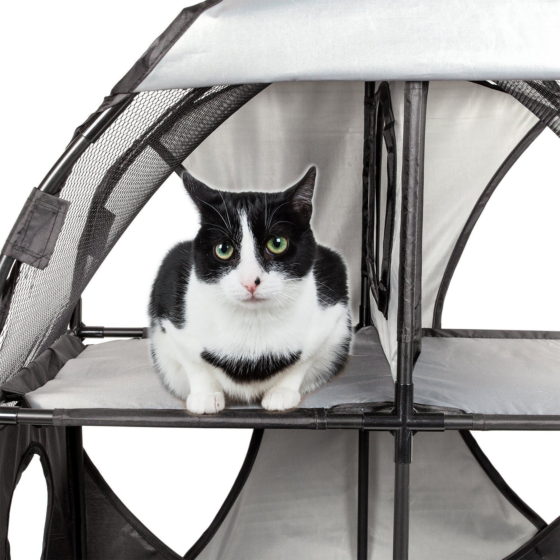 Pet Life ® 'Kitty-Play' Collapsible Travel Interactive Kitty Cat Tree Maze House Lounger Tunnel Lounge