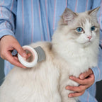 Pet Life ® 'Knuckler' Handheld Travel Flexible Grooming Pet Rake Comb