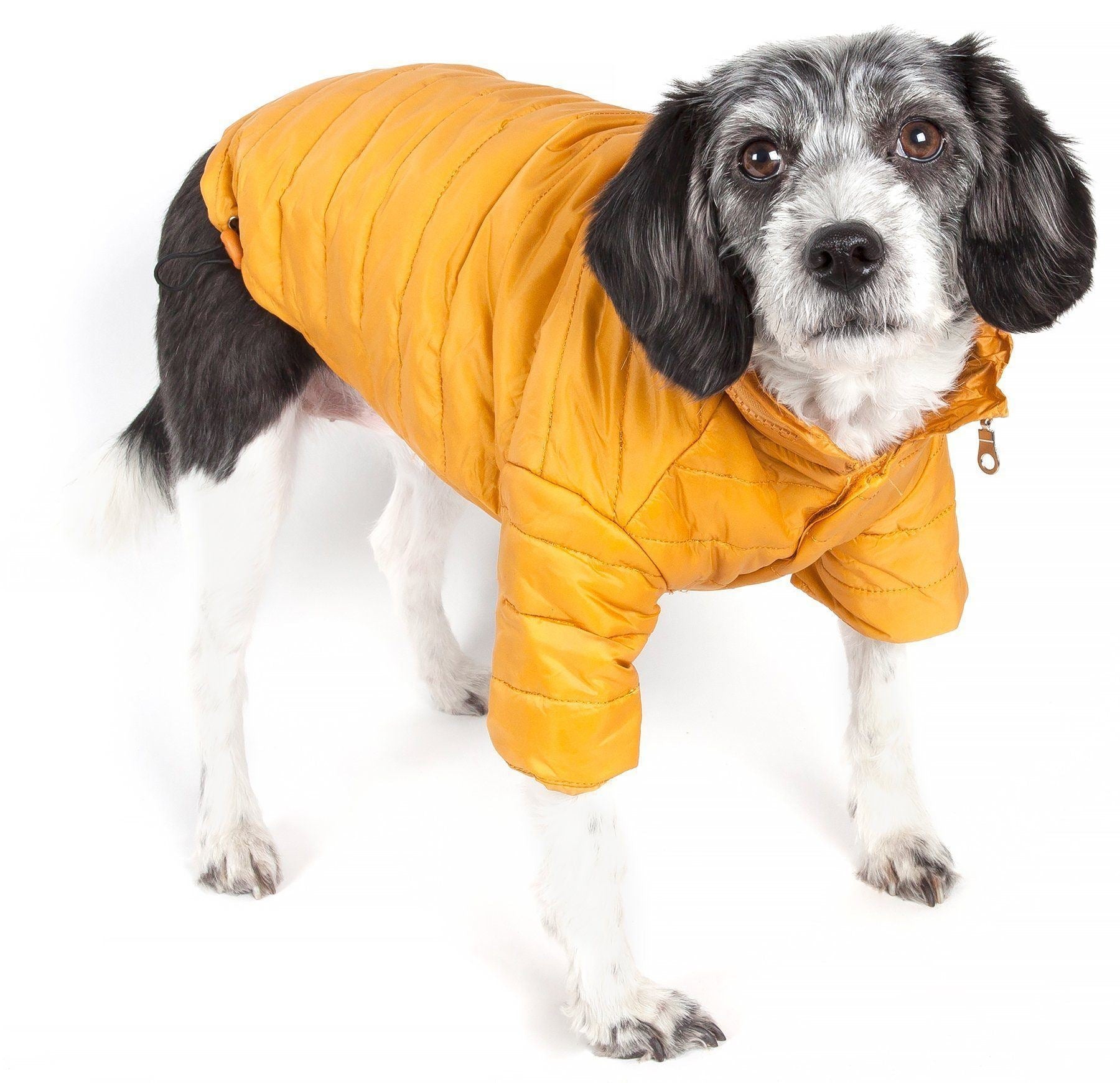 Pet Life ® Lightweight Adjustable and Collapsible 'Sporty Avalanche' Dog Coat w/ Pop-out Zippered Hood