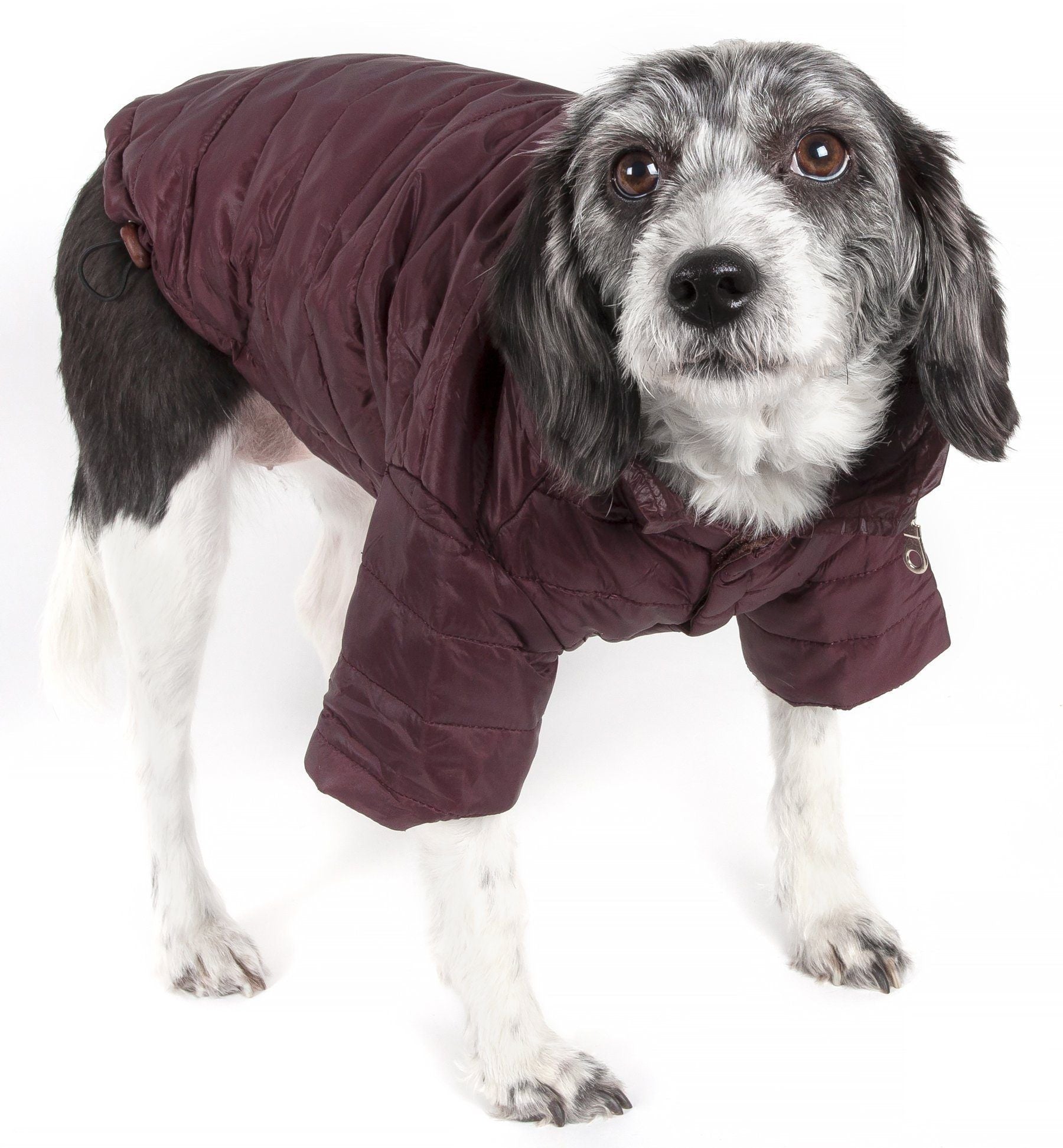 Pet Life ® Lightweight Adjustable and Collapsible 'Sporty Avalanche' Dog Coat w/ Pop-out Zippered Hood