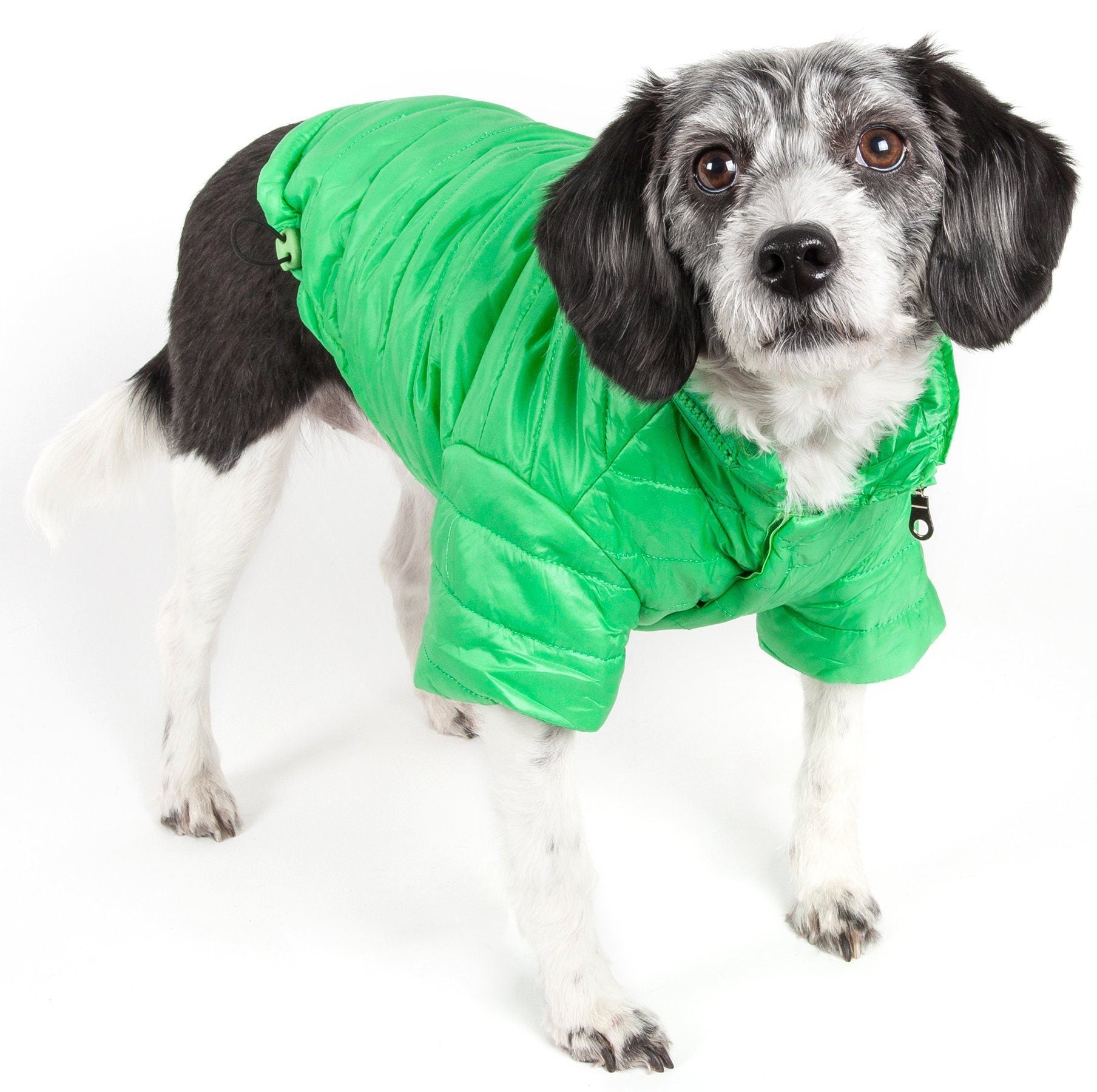 Pet Life ® Lightweight Adjustable and Collapsible 'Sporty Avalanche' Dog Coat w/ Pop-out Zippered Hood