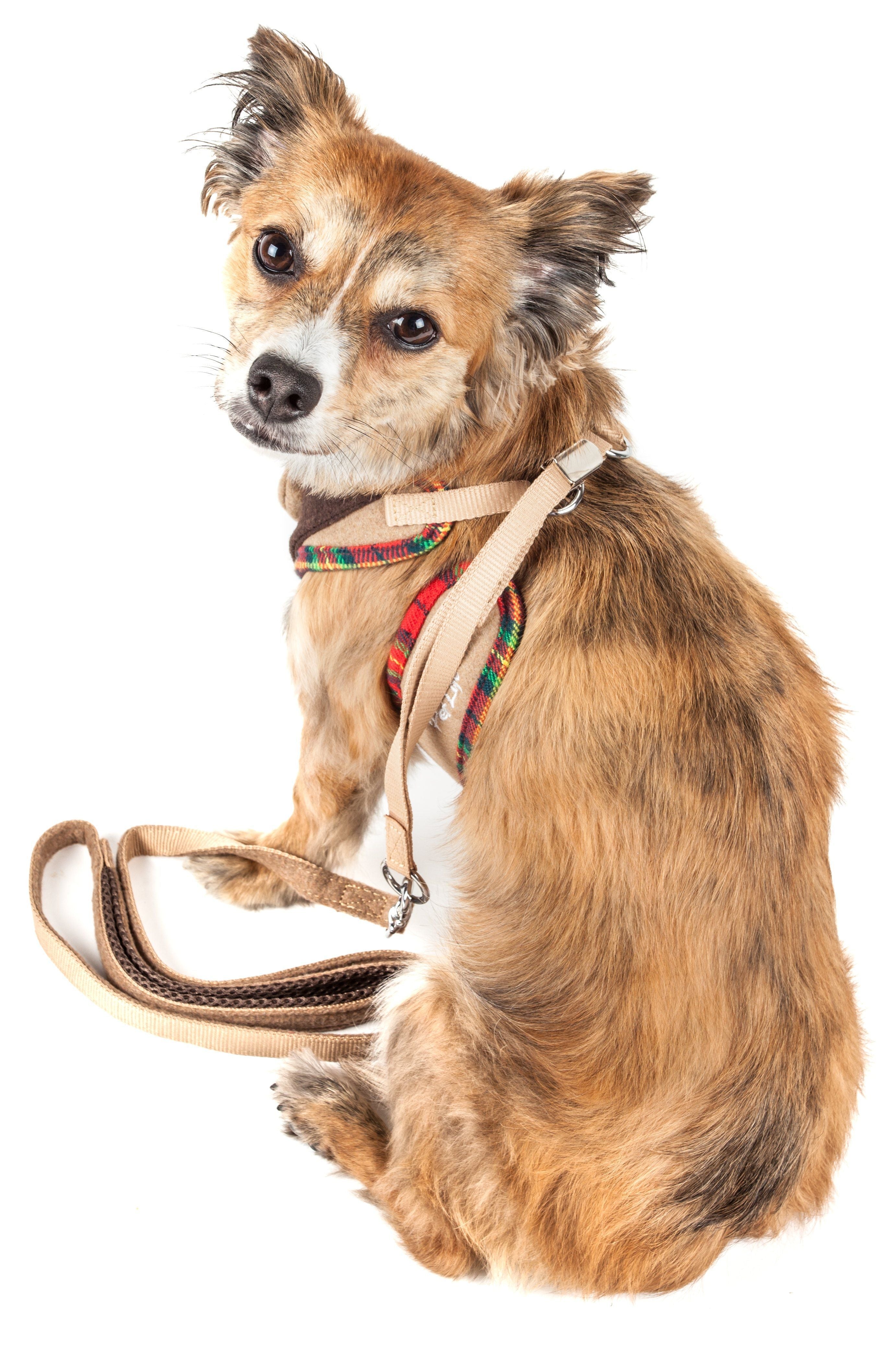 Pet Life ® Luxe 'Dapperbone' 2-In-1 Adjustable Fashion Dog Harness and Leash