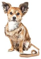 Pet Life ® Luxe 'Furracious' 2-In-1 Adjustable Dog Harness and Leash with Detachable Fur Collar