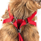 Pet Life ® Luxe 'Spawling' 2-In-1 Adjustable Fashion Dog Harness and Leash
