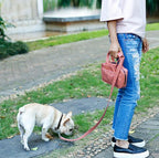 Pet Life ® 'Posh Walk' Purse Dog Leash, Accessory Holder and Waste Bag Dispenser