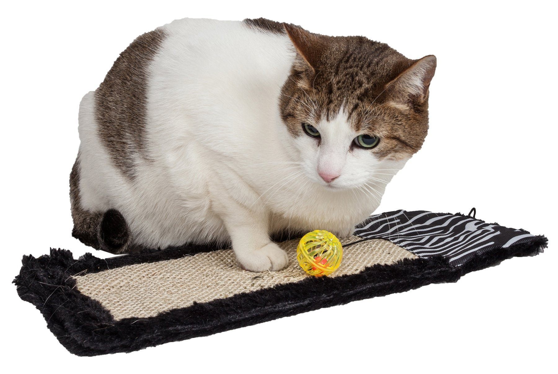 Pet Life ® 'Scrape-Away' Sisal and Jute Hanging Carpet Cat Scratcher Toy