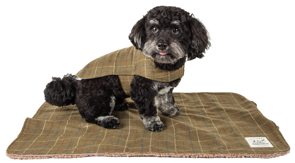 Touchdog ® 2-In-1 Windowpane Plaid Dog Jacket and Matching Reversible Dog Mat