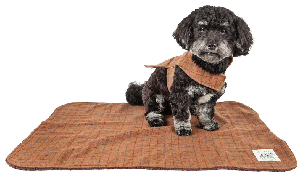 Touchdog ® 2-In-1 Windowpane Plaid Dog Jacket and Matching Reversible Dog Mat