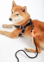 Touchdog ® 'Macaron' 2-in-1 Durable Nylon Dog Harness and Leash