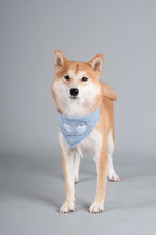 Touchdog ®'Dizzy-Eyed Cyclops' Cotton Hook-and-Loop Dog Bandana and Scarf